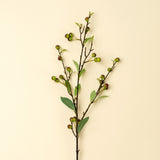 Hypericum Berry Spray, Set of 36 by Mercana at Eve Furniture