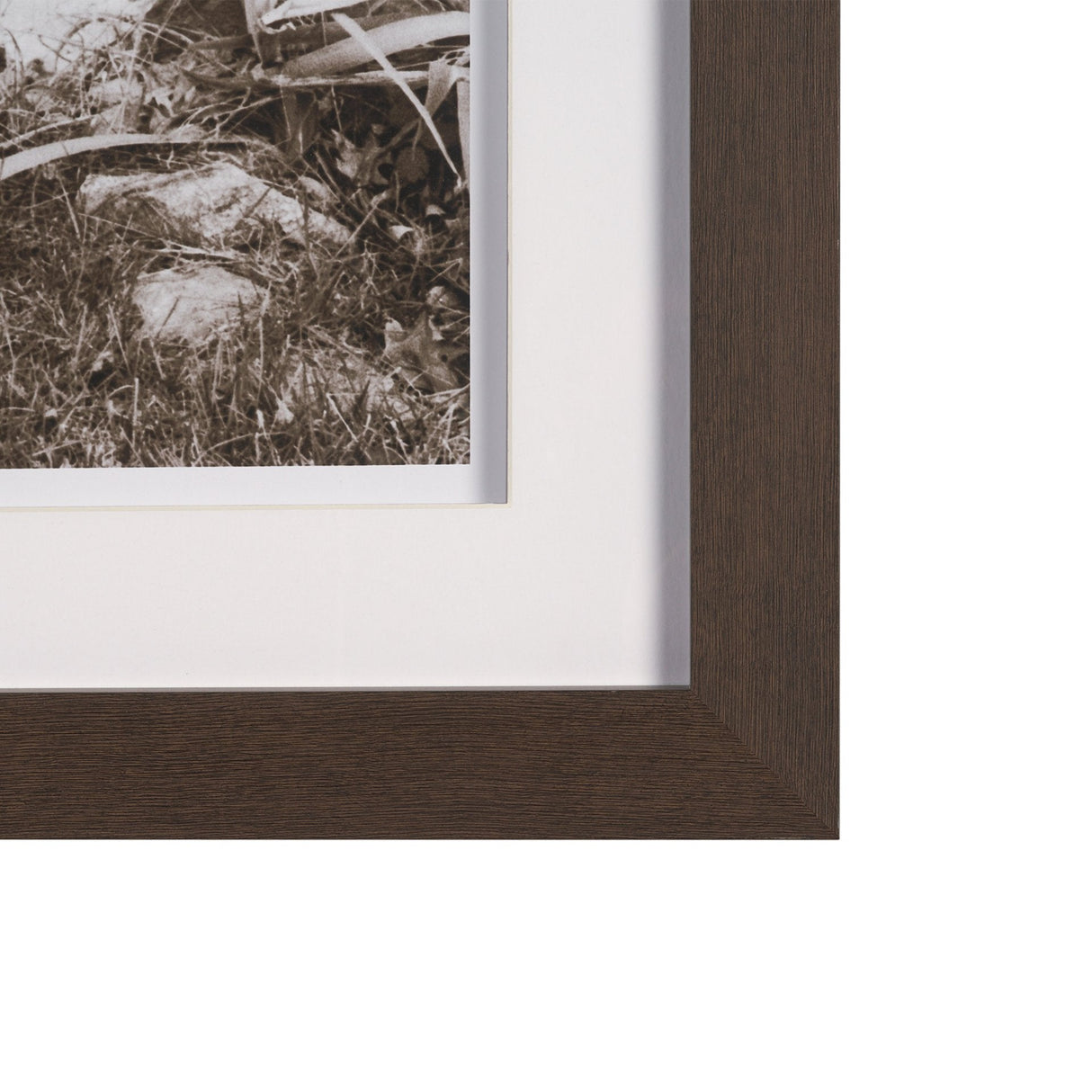 I am Home by Jim Dratfield a Framed Photo Print Matted Under Glass by Mercana at Eve Furniture