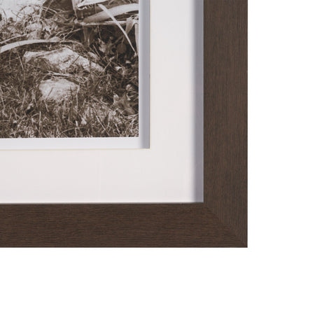 I am Home by Jim Dratfield a Framed Photo Print Matted Under Glass by Mercana at Eve Furniture