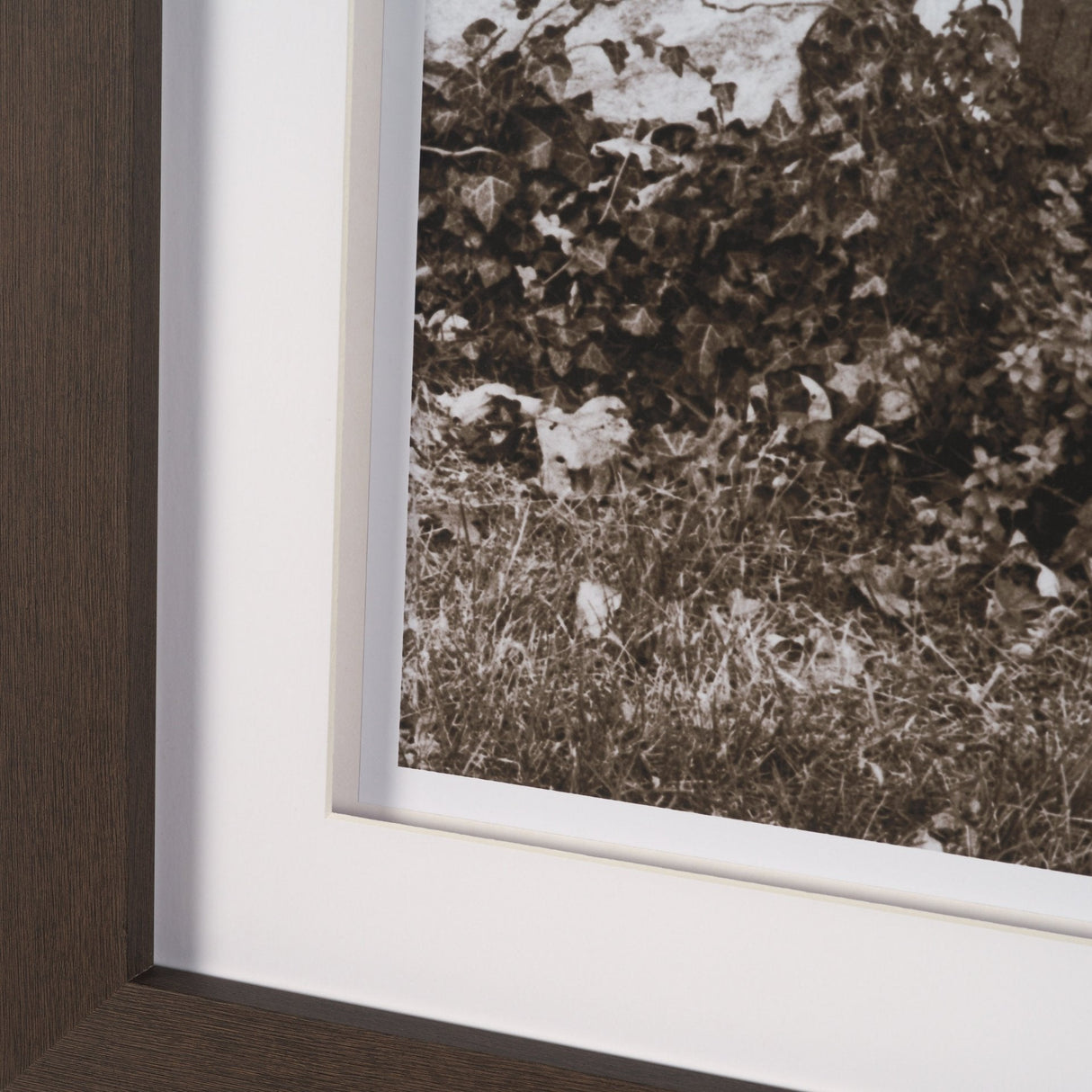 I am Home by Jim Dratfield a Framed Photo Print Matted Under Glass by Mercana at Eve Furniture