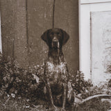 I am Home by Jim Dratfield a Framed Photo Print Matted Under Glass by Mercana at Eve Furniture