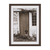 I am Home by Jim Dratfield a Framed Photo Print Matted Under Glass by Mercana at Eve Furniture
