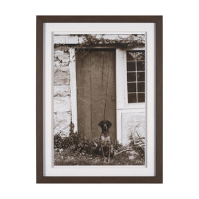 I am Home by Jim Dratfield a Framed Photo Print Matted Under Glass by Mercana at Eve Furniture