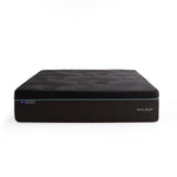 Ice Cloud ActivAir Gray King Mattress by Malouf at Eve Furniture