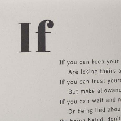 If You Can by Mercana Studio a Hand Embellished Framed Art Print Matted under Glass by Mercana at Eve Furniture