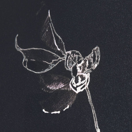 Ikebana Dark II by Mercana Studio a Hand Embellished Textured Canvas by Mercana at Eve Furniture