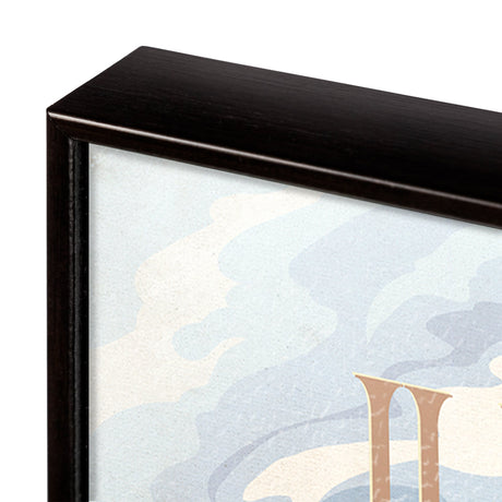 Illinois Go USA (SM) by Mercana Studio a Hand Embellished Decograph Framed Art Print by Mercana at Eve Furniture