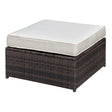Ilona Brown/Beige Ottoman by Furniture of America at Eve Furniture