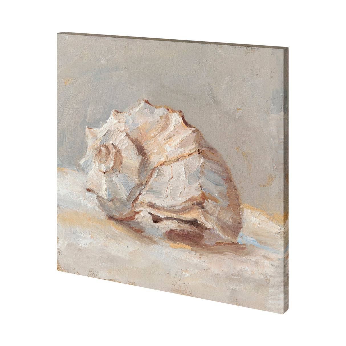 Impressionist Shell Study II by Mercana Studio a Hand Embellished Textured Canvas by Mercana at Eve Furniture