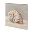 Impressionist Shell Study II by Mercana Studio a Hand Embellished Textured Canvas by Mercana at Eve Furniture