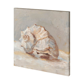 Impressionist Shell Study II by Mercana Studio a Hand Embellished Textured Canvas by Mercana at Eve Furniture