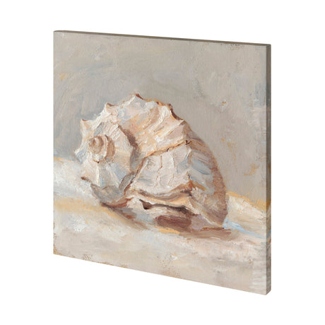 Impressionist Shell Study II by Mercana Studio a Hand Embellished Textured Canvas by Mercana at Eve Furniture