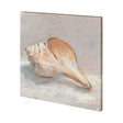 Impressionist Shell Study III by Mercana Studio a Hand Embellished Textured Canvas by Mercana at Eve Furniture