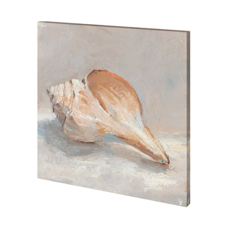 Impressionist Shell Study III by Mercana Studio a Hand Embellished Textured Canvas by Mercana at Eve Furniture