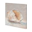 Impressionist Shell Study IV by Mercana Studio a Hand Embellished Textured Canvas by Mercana at Eve Furniture