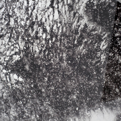 In The Storm by WINK GAINES a Hand Embellished Textured Framed Art Photograph Matted under Glass by Mercana at Eve Furniture