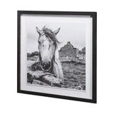 Ireland Black & White by Arabella Studios a Framed Photo Art Print Matted under Glass by Mercana at Eve Furniture