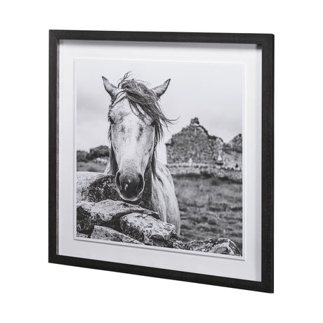 Ireland Black & White by Arabella Studios a Framed Photo Art Print Matted under Glass by Mercana at Eve Furniture