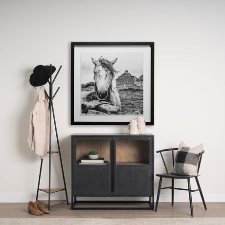 Ireland Black & White by Arabella Studios a Framed Photo Art Print Matted under Glass by Mercana at Eve Furniture