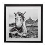 Ireland Black & White by Arabella Studios a Framed Photo Art Print Matted under Glass by Mercana at Eve Furniture
