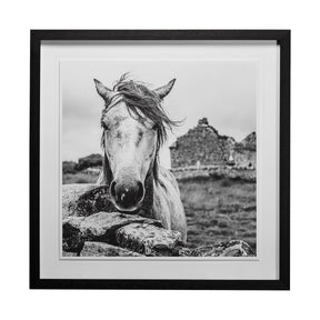 Ireland Black & White by Arabella Studios a Framed Photo Art Print Matted under Glass by Mercana at Eve Furniture