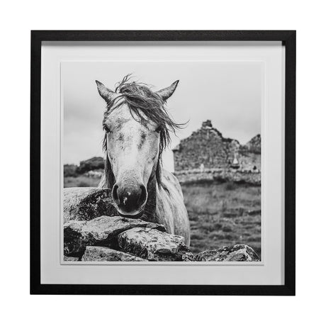 Ireland Black & White by Arabella Studios a Framed Photo Art Print Matted under Glass by Mercana at Eve Furniture