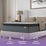 Isabella 14 Inches Hybrid Pillow Top Mattress by NapQueen at Eve Furniture