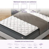 Isabella 14 Inches Hybrid Pillow Top Mattress by NapQueen at Eve Furniture