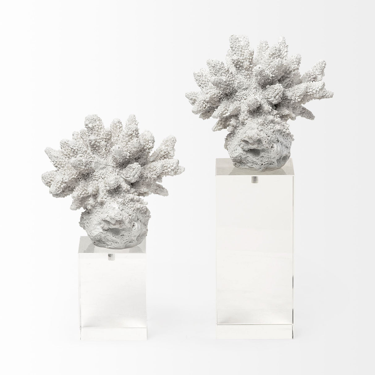 Isla (Large) 5L x 5W White Replica Resin Coral On Clear White Glass by Mercana at Eve Furniture