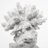 Isla (Large) 5L x 5W White Replica Resin Coral On Clear White Glass by Mercana at Eve Furniture