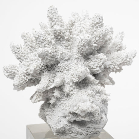 Isla (Large) White Replica Resin Coral On Clear White Glass by Mercana at Eve Furniture