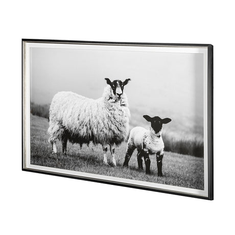 Islay Sheep I by Laura Marshall a Framed Photo Art Print Matted under Glass by Mercana at Eve Furniture