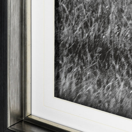 Islay Sheep I by Laura Marshall a Framed Photo Art Print Matted under Glass by Mercana at Eve Furniture
