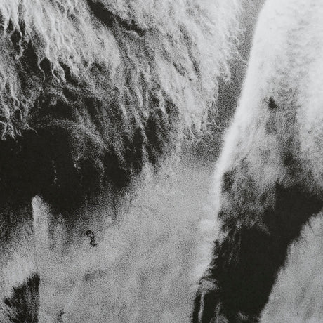 Islay Sheep I by Laura Marshall a Framed Photo Art Print Matted under Glass by Mercana at Eve Furniture