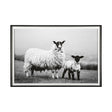 Islay Sheep I by Laura Marshall a Framed Photo Art Print Matted under Glass by Mercana at Eve Furniture