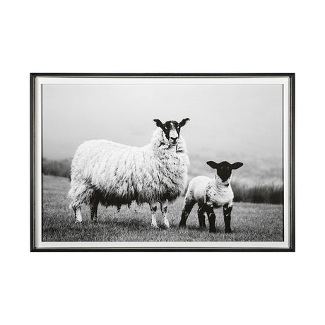 Islay Sheep I by Laura Marshall a Framed Photo Art Print Matted under Glass by Mercana at Eve Furniture