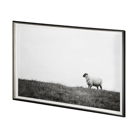 Islay Sheep II by Laura Marshall a Framed Photo Art Print Matted under Glass by Mercana at Eve Furniture