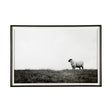Islay Sheep II by Laura Marshall a Framed Photo Art Print Matted under Glass by Mercana at Eve Furniture