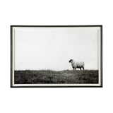 Islay Sheep II by Laura Marshall a Framed Photo Art Print Matted under Glass by Mercana at Eve Furniture