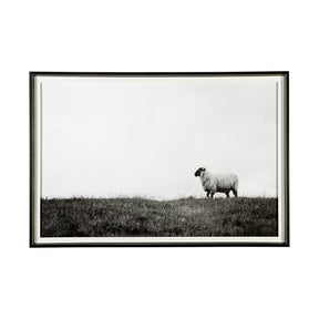 Islay Sheep II by Laura Marshall a Framed Photo Art Print Matted under Glass by Mercana at Eve Furniture