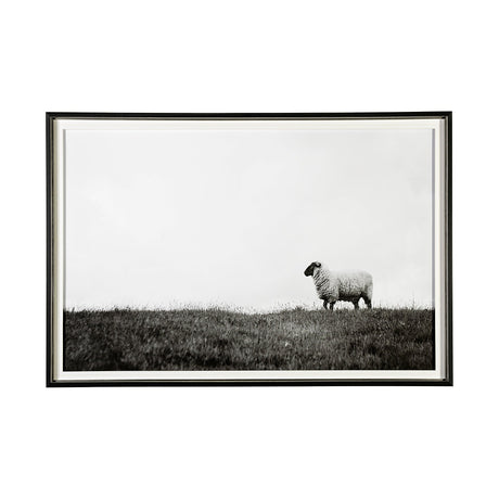 Islay Sheep II by Laura Marshall a Framed Photo Art Print Matted under Glass by Mercana at Eve Furniture