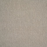 Islington Taupe Fabric Upholstered Panel Arm Accent Chair by Coaster at Eve Furniture