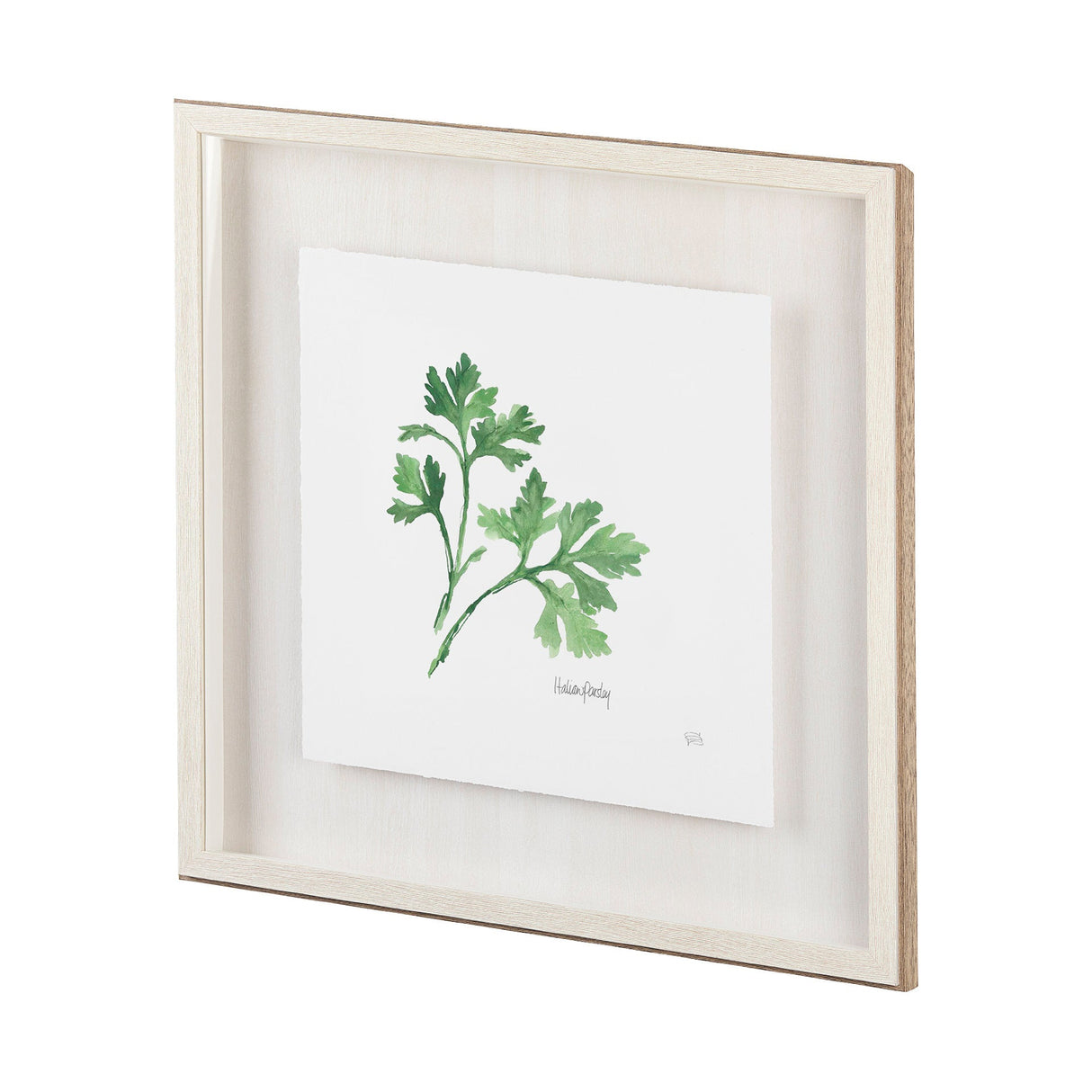 Italian Parsley v2 by Chris Paschke a Framed Art Print Matted under Glass by Mercana at Eve Furniture