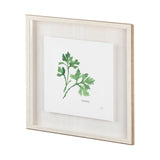 Italian Parsley v2 by Chris Paschke a Framed Art Print Matted under Glass by Mercana at Eve Furniture
