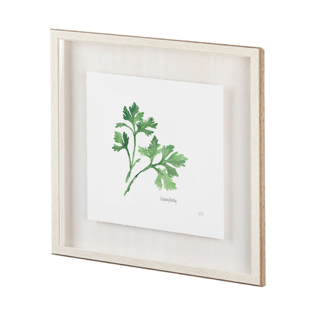 Italian Parsley v2 by Chris Paschke a Framed Art Print Matted under Glass by Mercana at Eve Furniture