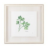 Italian Parsley v2 by Chris Paschke a Framed Art Print Matted under Glass by Mercana at Eve Furniture