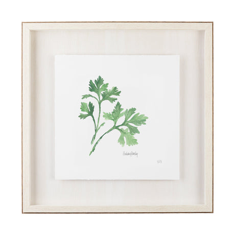 Italian Parsley v2 by Chris Paschke a Framed Art Print Matted under Glass by Mercana at Eve Furniture