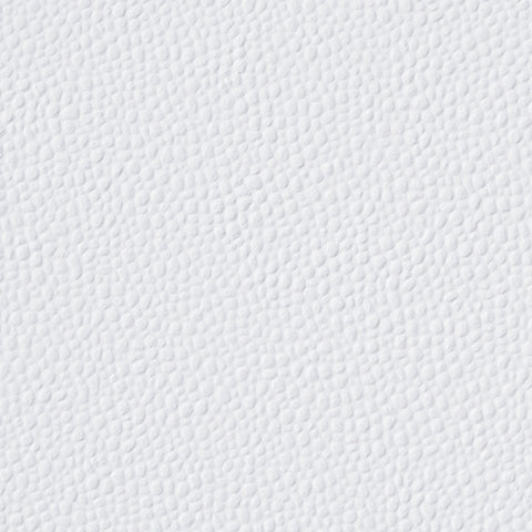 Jarlee White Queen Upholstered Panel Bed