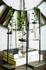 Jarvis Set of Five Dark Brown Metal and Glass Chemistry Inspired Bottles by Mercana at Eve Furniture