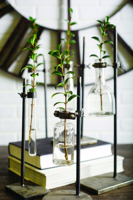 Jarvis Set of Five Dark Brown Metal and Glass Chemistry Inspired Bottles by Mercana at Eve Furniture